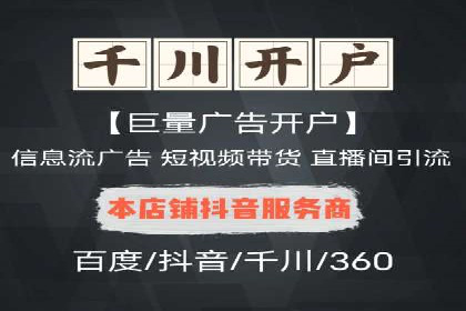成功运用SEM服务实现品牌快速成长的案例